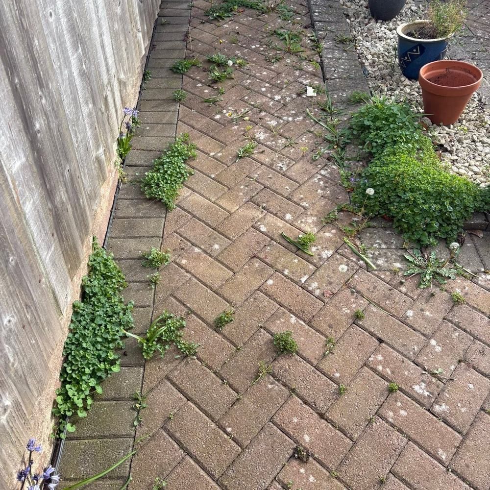 Herringbone block paving path and driveway before cleaning by Owens Exterior Cleaning, Devon