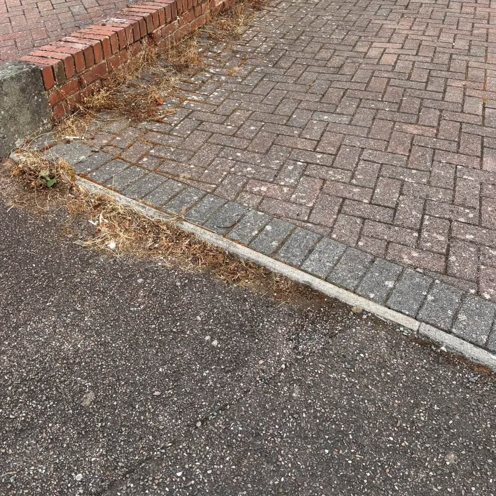 Red block paving driveway before cleaning by Owens Exterior Cleaning, Devon (view 1)
