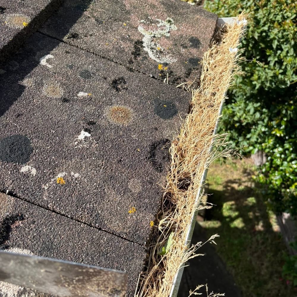 Blocked gutter and roof edge before cleaning by Owens Exterior Cleaning, Devon