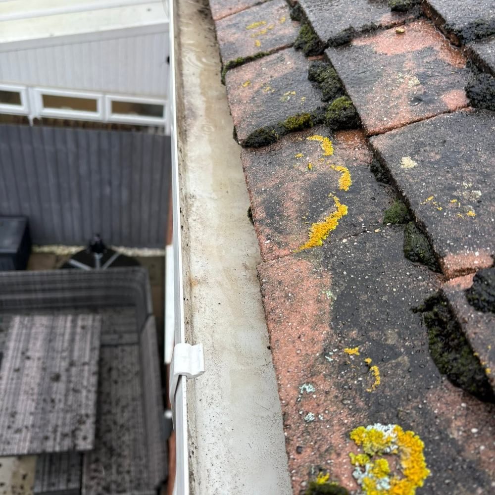 Gutter packed with moss after cleaning by Owens Exterior Cleaning, Devon