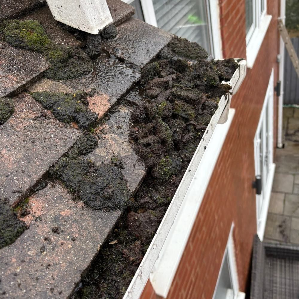 Gutter packed with moss before cleaning by Owens Exterior Cleaning, Devon