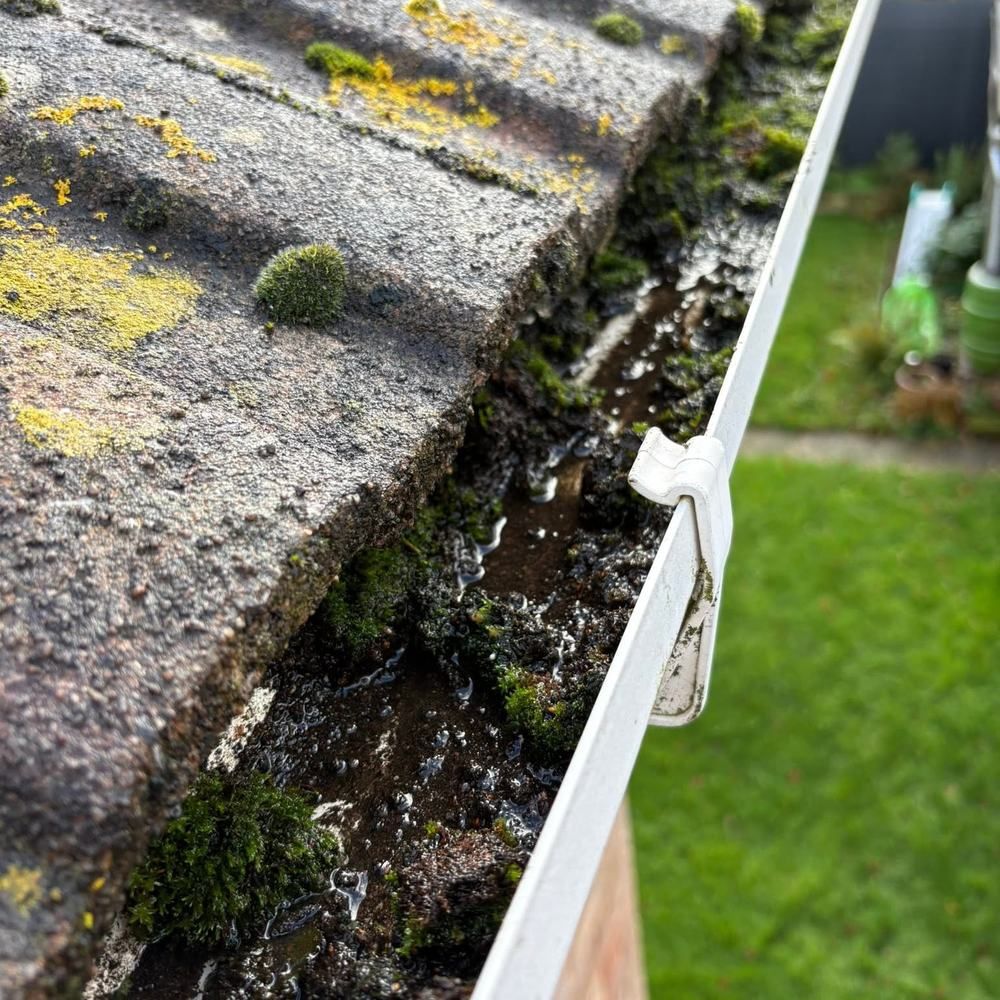 Gutter with moss and debris before cleaning by Owens Exterior Cleaning, Devon