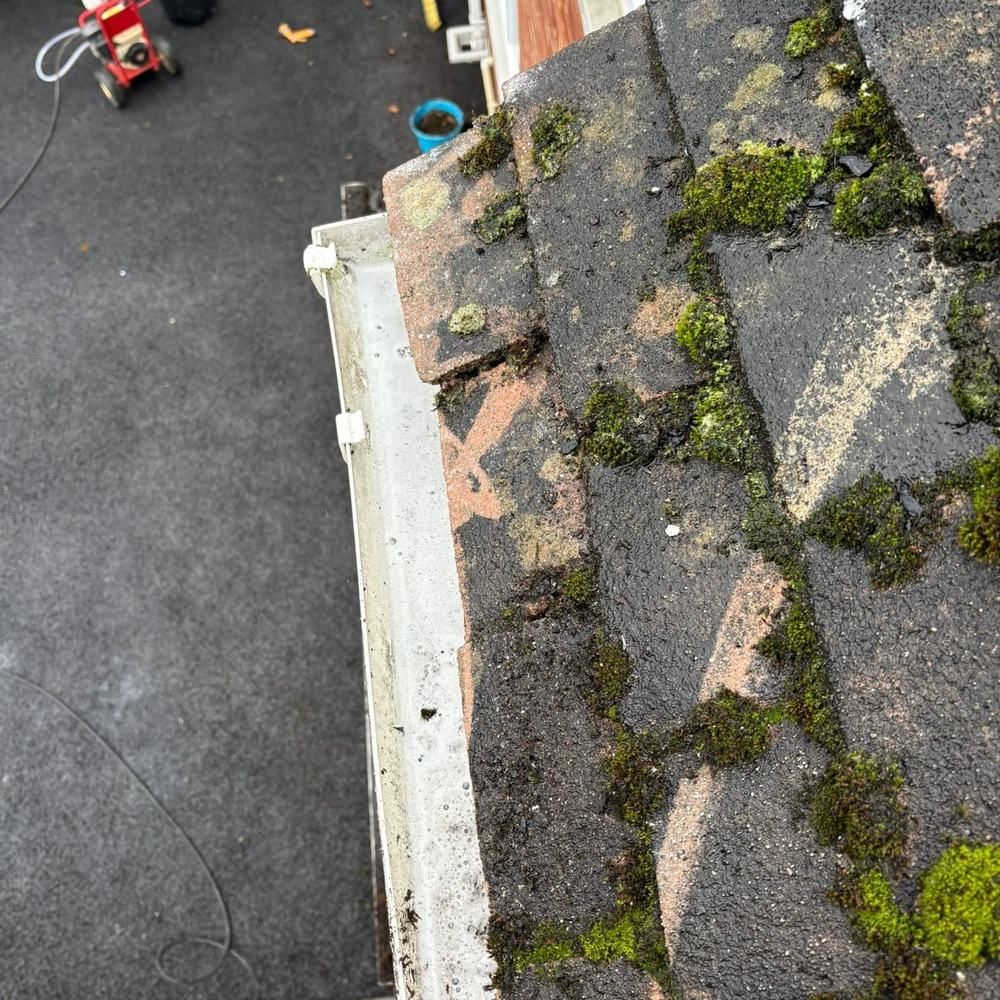 Gutter overgrown with plants after cleaning by Owens Exterior Cleaning, Devon