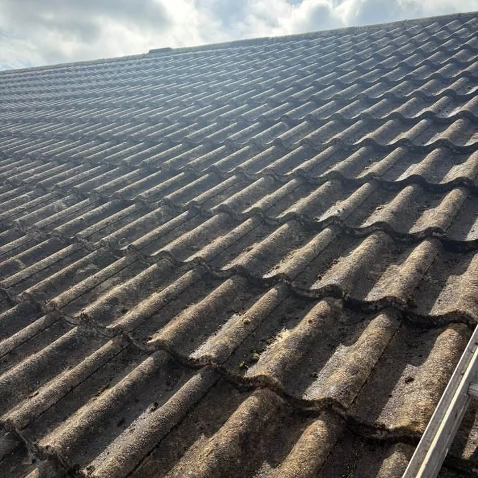 Pantile roof after cleaning by Owens Exterior Cleaning, Devon