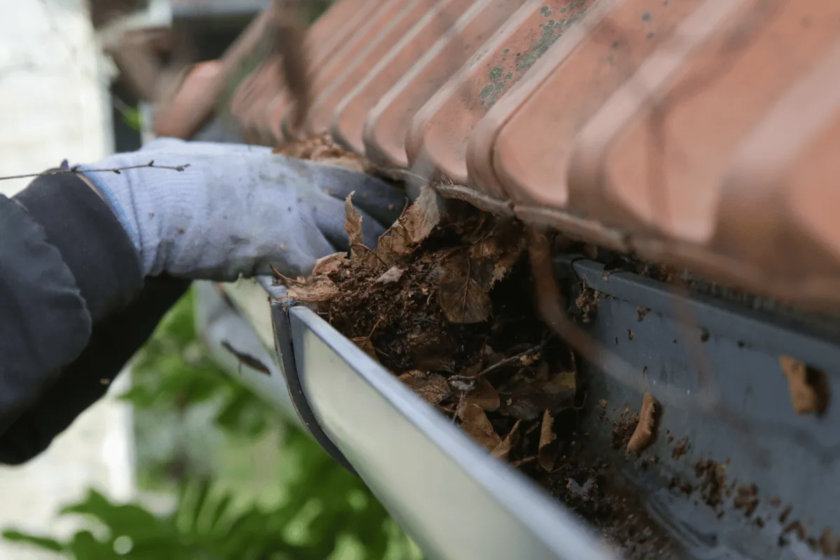 Pressure Washing vs Soft Washing: Which Method is Right for Your Devon Property?